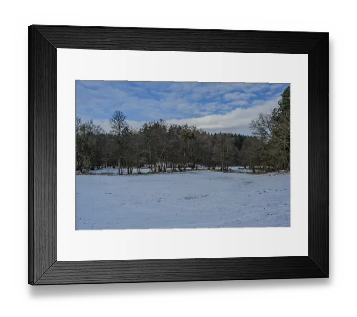 Framed Print : The picture shows a snow-covered area in the forest Framed Print : The picture shows a snow-covered area in the forest