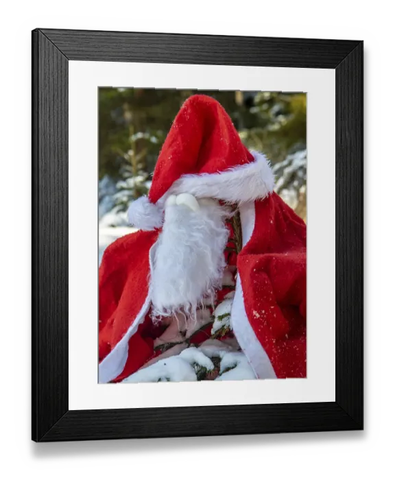 Framed Print : The Santa Claus costume with beards hangs on the spruce in the winter forest