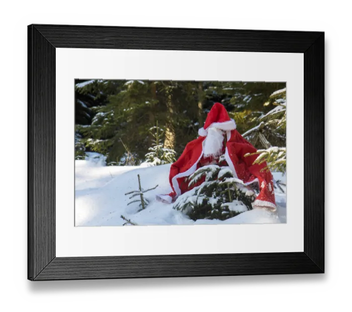 Framed Print : The Santa Claus costume with beards hangs on the spruce in the winter forest