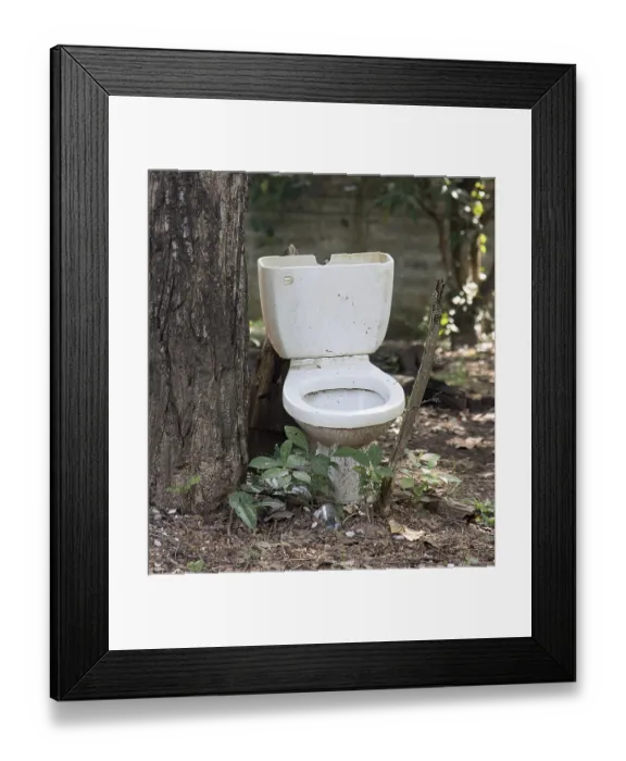 Framed Print : Old broken toilet stands in the woods near a tree Framed Print : Old broken toilet stands in the woods near a tree