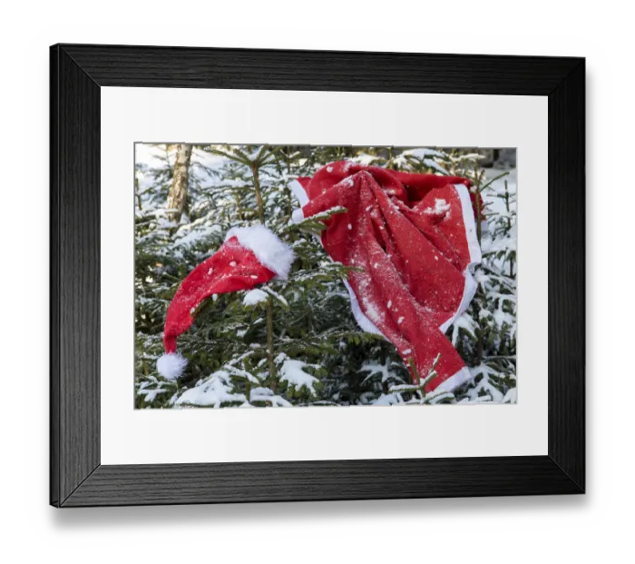 Framed Print : The Santa Claus costume hangs on the spruce in the winter forest