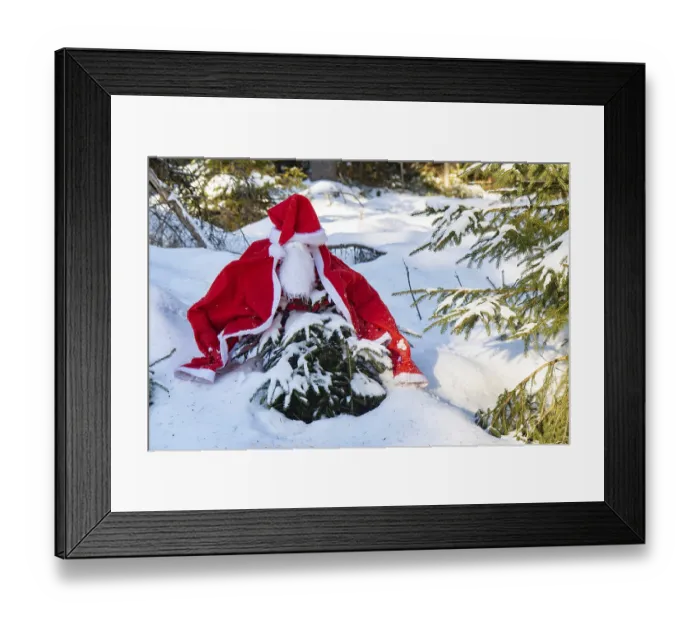 Framed Print : The Santa Claus costume with beards hangs on the spruce in the winter forest Framed Print : The Santa Claus costume with beards hangs on the spruce in the winter forest