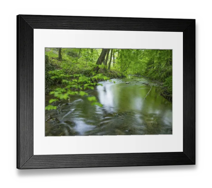 Framed Print : The river Hunte near Barkhausen in the spring-like beech forest Framed Print : The river Hunte near Barkhausen in the spring-like beech forest