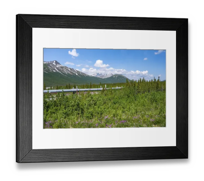 Framed Print : Alaska Pipeline Oil Pipeline, Alaska Range Framed Print : Alaska Pipeline Oil Pipeline, Alaska Range