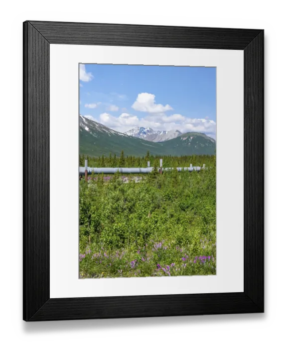Framed Print : Alaska Pipeline Oil Pipeline, Alaska Range