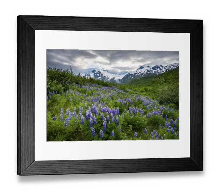 Framed Print : Picturesque landscape on the Richardson Highway Framed Print : Picturesque landscape on the Richardson Highway