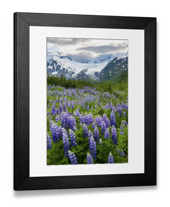 Framed Print : Picturesque landscape on the Richardson Highway Framed Print : Picturesque landscape on the Richardson Highway
