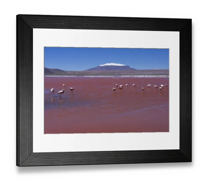 Framed Print : Bolivia, Laguna Colorada Framed Print : Bolivia, Laguna Colorada