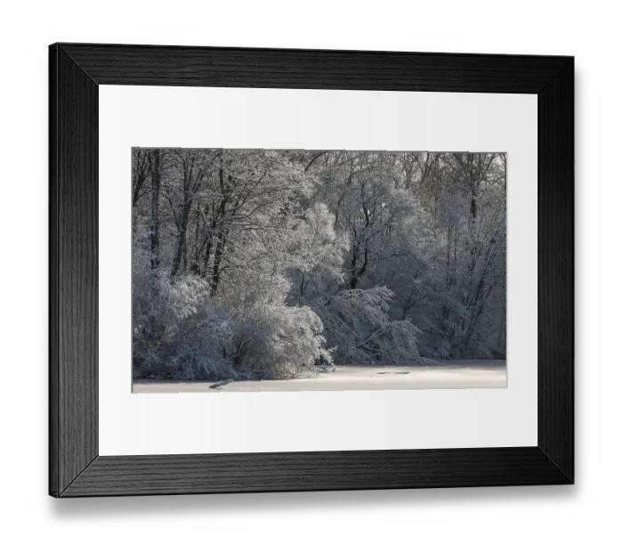 Framed Print : Snow-covered forest with a serene atmosphere and gentle light in London Framed Print : Snow-covered forest with a serene atmosphere and gentle light in London