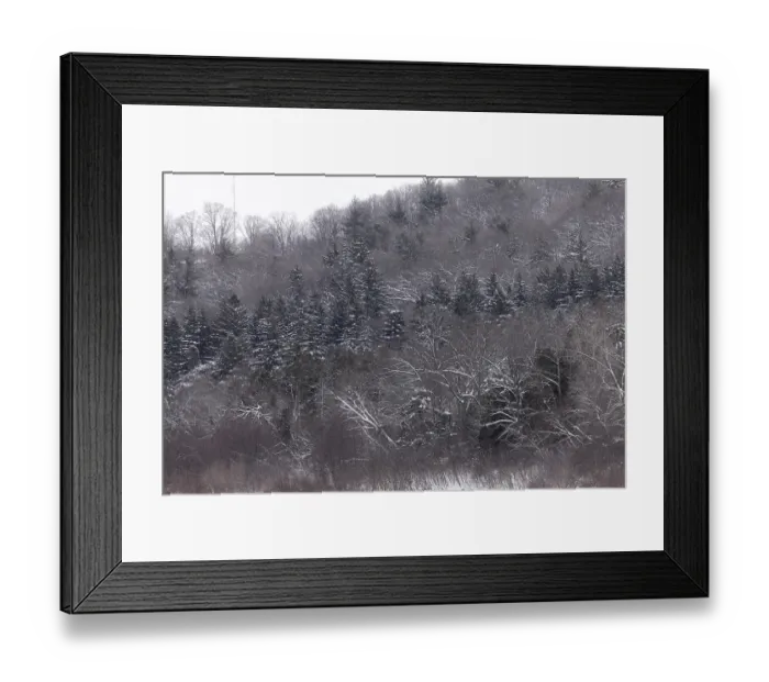 Framed Print : Snowy hills and trees in a forested landscape