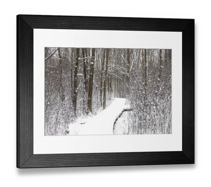 Framed Print : A snowy path winding through a bare winter forest with a tranquil atmosphere in London