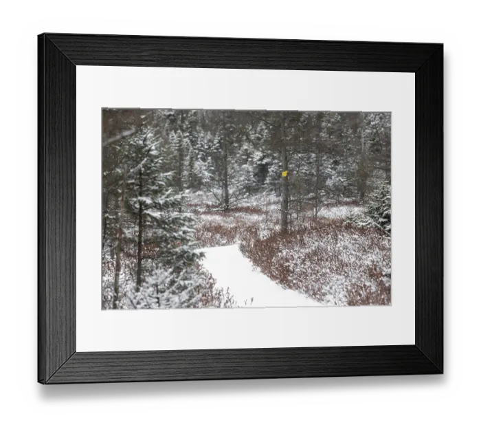 Framed Print : Snowy forest path marked with a yellow indicator