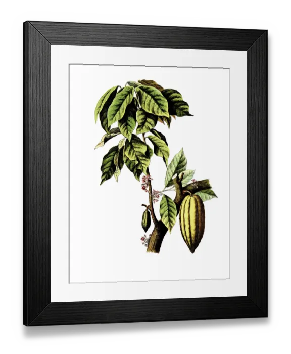 Framed Print : Useful plants, cultivated plants