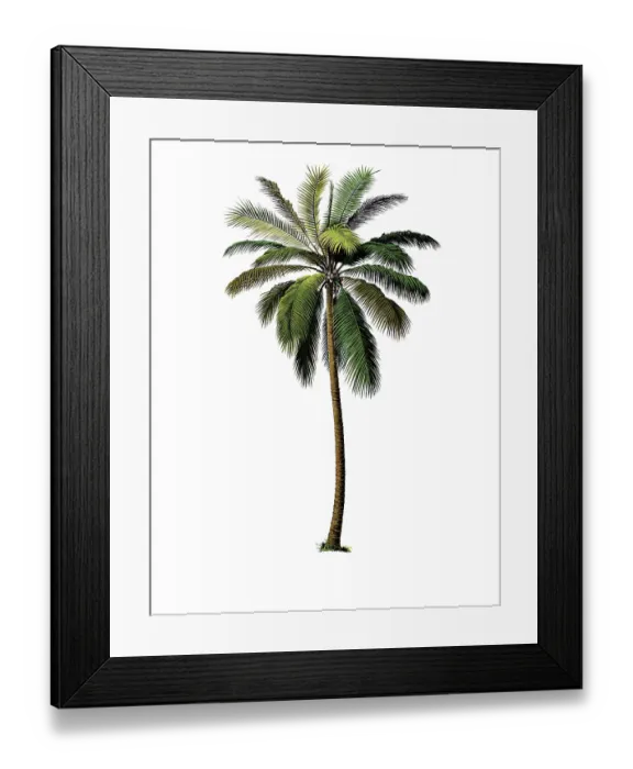 Framed Print : Useful plants, cultivated plants Framed Print : Useful plants, cultivated plants
