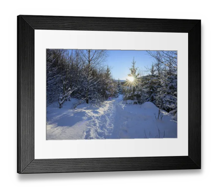 Framed Print : Ilsenburg, Saxony-Anhalt, Germany
