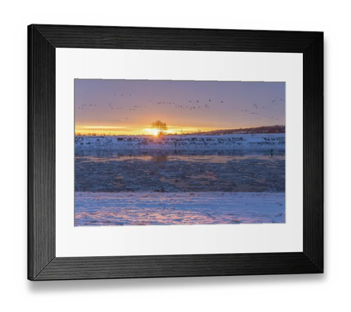 Framed Print : Cold winter morning on the Elbe with floating ice floes