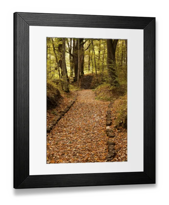 Framed Print : Peaceful path in the forest in autumn
