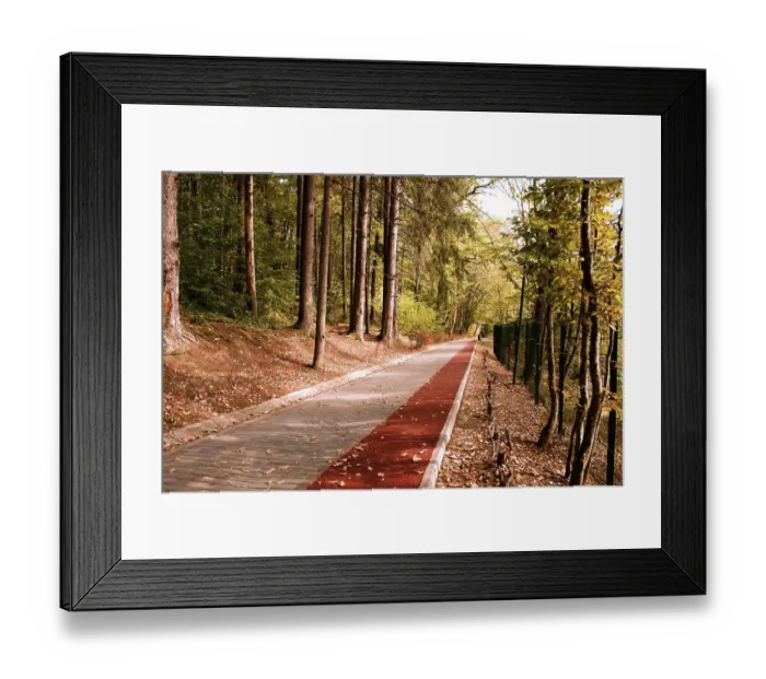 Framed Print : Peaceful path with Bike stripe in the forest in autumn