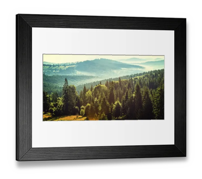 Framed Print : Mountain forest landscape in the morning with fog and sunlight Framed Print : Mountain forest landscape in the morning with fog and sunlight