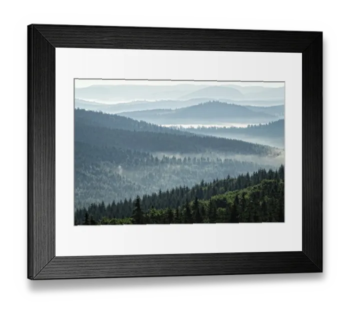 Framed Print : Mountain forest landscape in the morning with fog over the trees Framed Print : Mountain forest landscape in the morning with fog over the trees