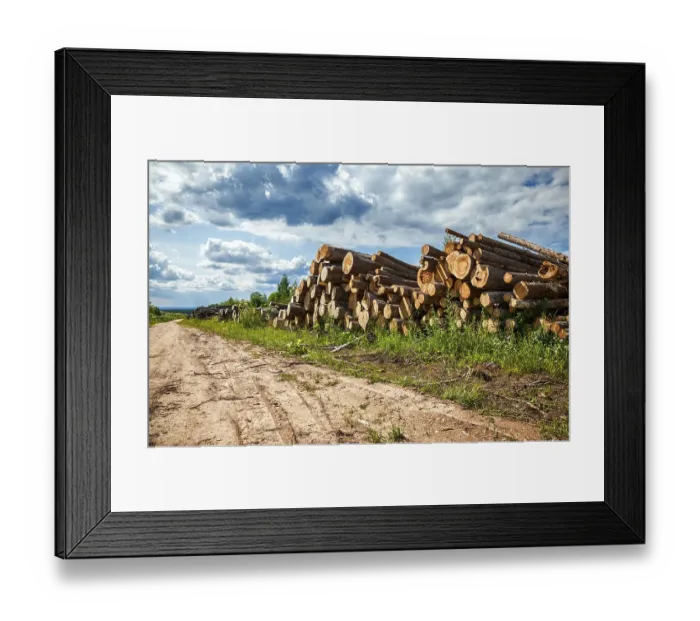 Framed Print : Piles of timber along the forest road in summertime