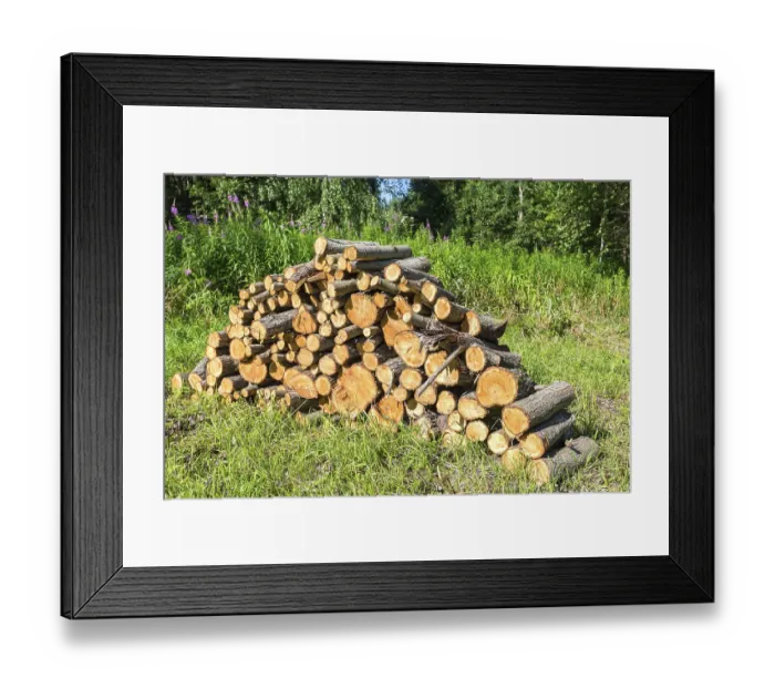 Framed Print : Pile of raw wood logs at the forest in summertime