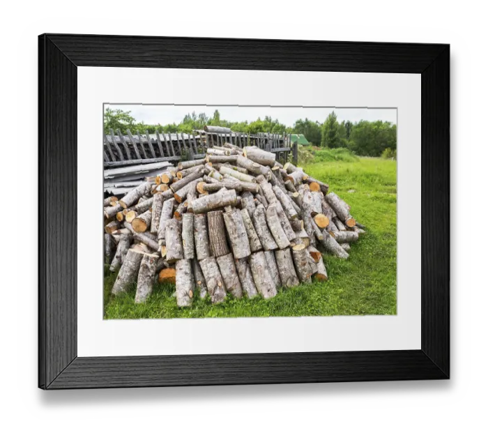 Framed Print : Stock pile of timber, chopped down trees at the forest in summertime Framed Print : Stock pile of timber, chopped down trees at the forest in summertime