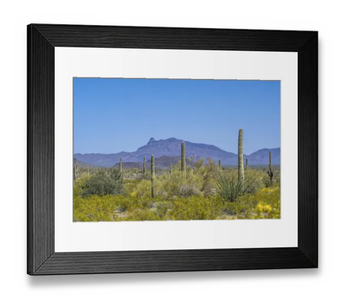 Framed Print : Epic mountain landscape scenery from the walking trail of the preserve park