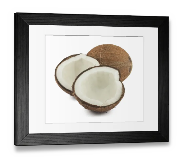 Framed Print : Fresh full and two halves of coconut isolated on white background Framed Print : Fresh full and two halves of coconut isolated on white background