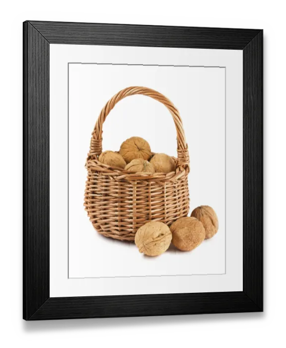 Framed Print : Wicker basket with walnuts isolated on a white background
