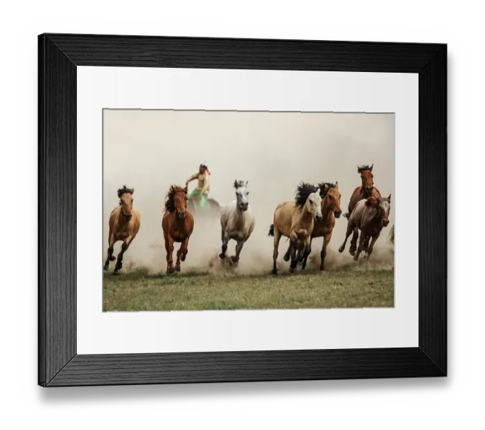 Framed Print : Mongolian Horses in the steppes of Mongolia Framed Print : Mongolian Horses in the steppes of Mongolia