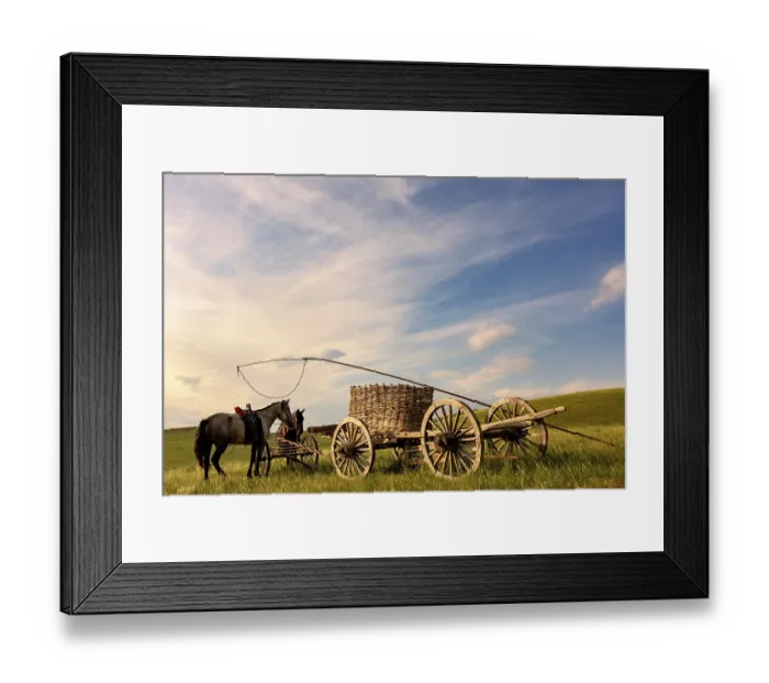 Framed Print : Horses and the horse cart in Mongolian grassland Framed Print : Horses and the horse cart in Mongolian grassland