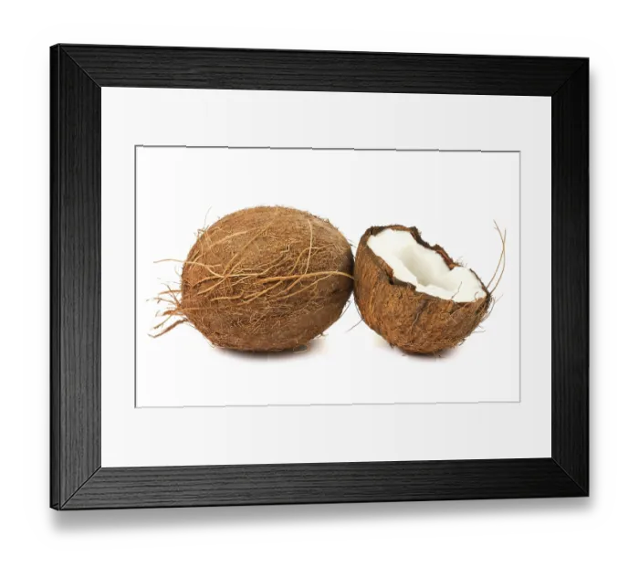 Framed Print : Fresh full and half of coconut isolated on white background Framed Print : Fresh full and half of coconut isolated on white background
