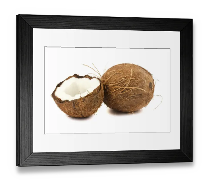 Framed Print : Fresh full and half of coconut isolated on white background Framed Print : Fresh full and half of coconut isolated on white background