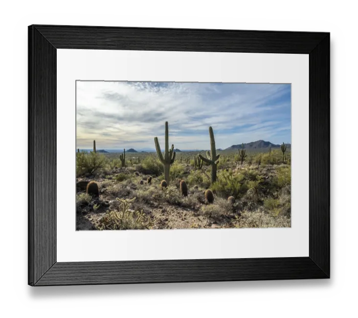 Framed Print : Epic mountain landscape scenery from the walking trail of Usery Park