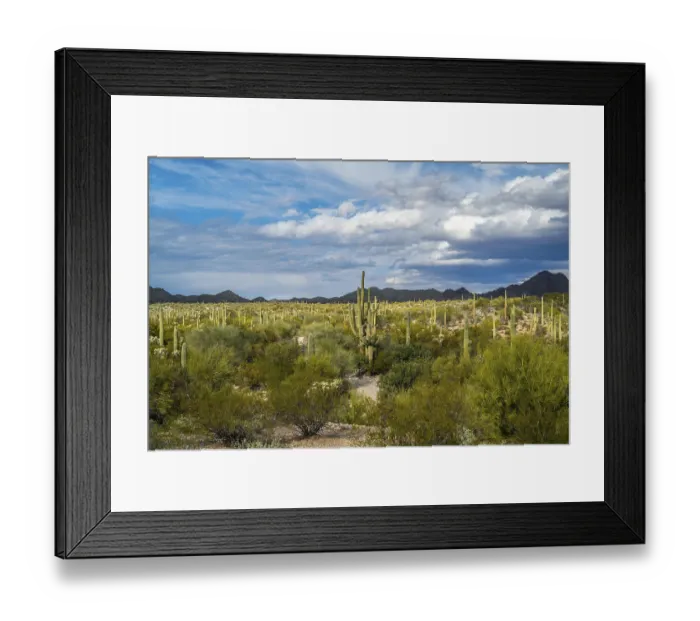 Framed Print : Epic mountain landscape scenery from the walking trail of the preserve park Framed Print : Epic mountain landscape scenery from the walking trail of the preserve park