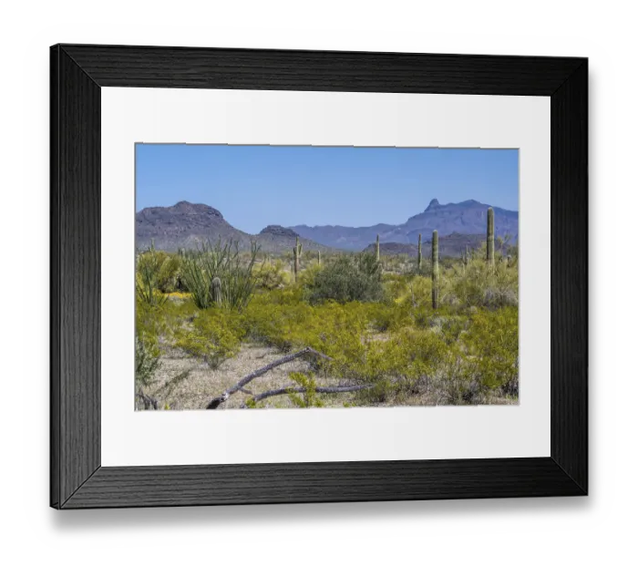 Framed Print : Epic mountain landscape scenery from the walking trail of the preserve park Framed Print : Epic mountain landscape scenery from the walking trail of the preserve park