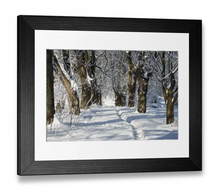 Framed Print : Winter landscape, alley, snow, Upper Bavaria