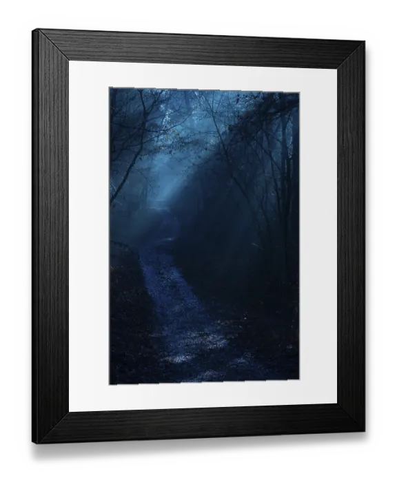 Framed Print : A path leads through a deep, shimmering blue night forest Framed Print : A path leads through a deep, shimmering blue night forest
