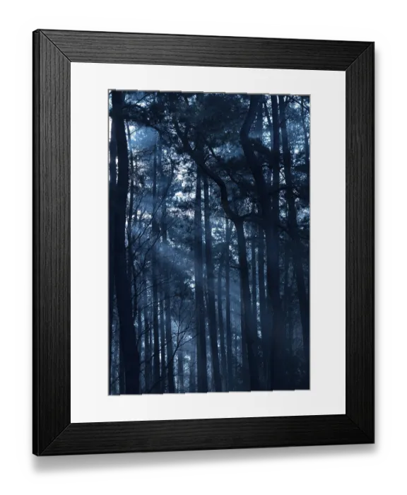 Framed Print : Mysterious nocturnal forest with deep shadows in bluish light Framed Print : Mysterious nocturnal forest with deep shadows in bluish light