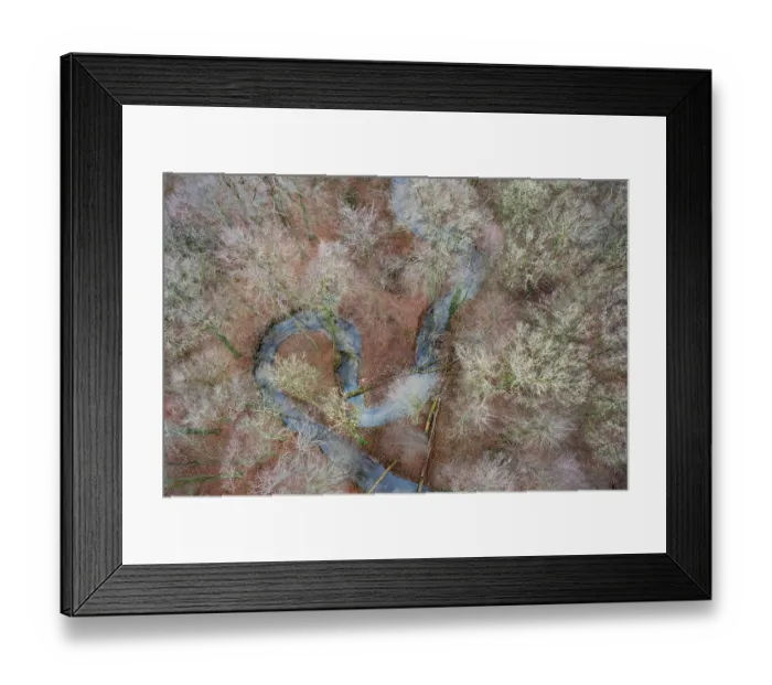 Framed Print : Meander of a low mountain stream in winter with beech forest