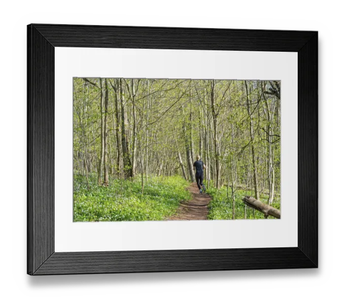 Framed Print : Woman running on a nature trail in a lush forest with budding leaves on the trees
