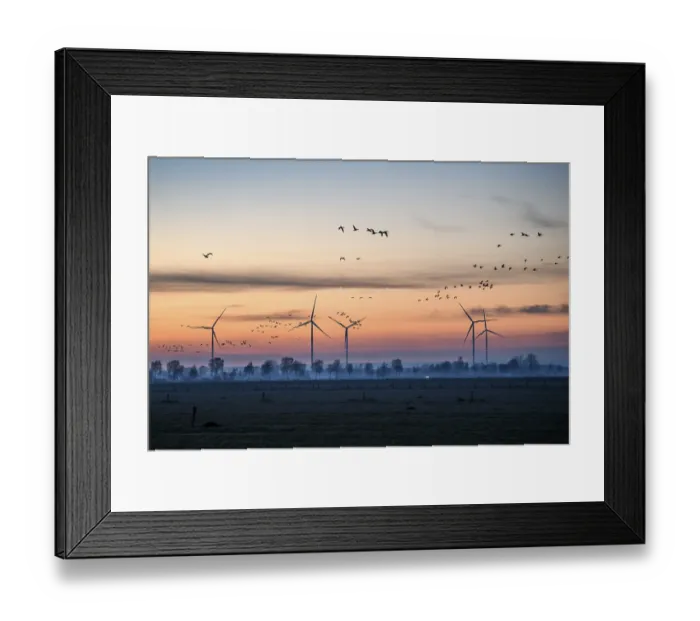 Framed Print : Wind turbines at dusk with flying birds and trees in the background Framed Print : Wind turbines at dusk with flying birds and trees in the background