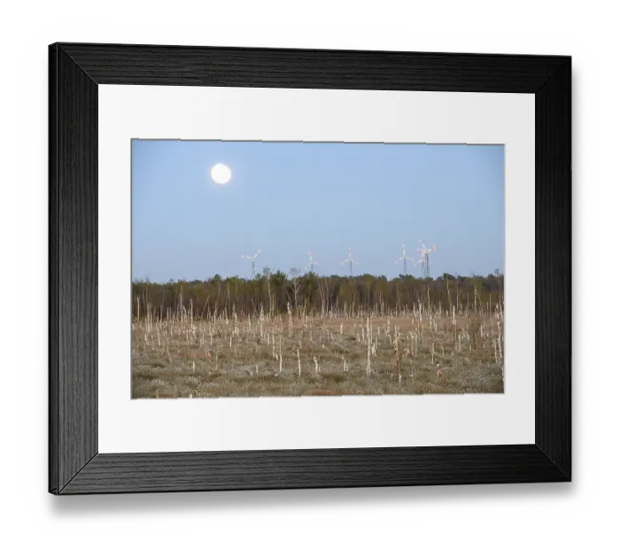 Framed Print : Moor landscape in daylight with moon and wind turbines on the horizon Framed Print : Moor landscape in daylight with moon and wind turbines on the horizon