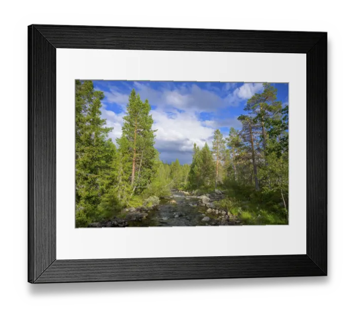 Framed Print : Wooded landscape with a river surrounded by green trees under a blue sky