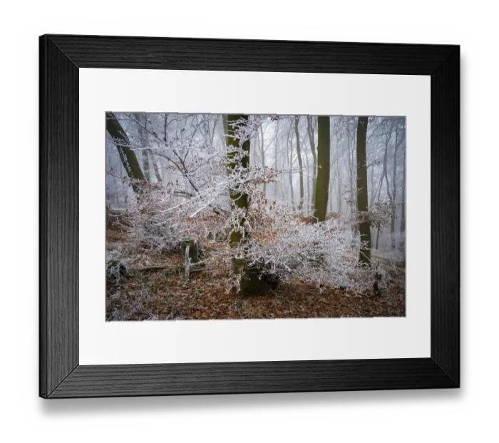Framed Print : Frosty white branches in a foggy winter forest create a mystical atmosphere