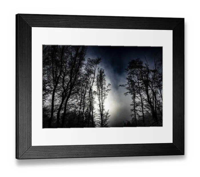 Framed Print : Black tree silhouettes against a dramatically cloudy night sky