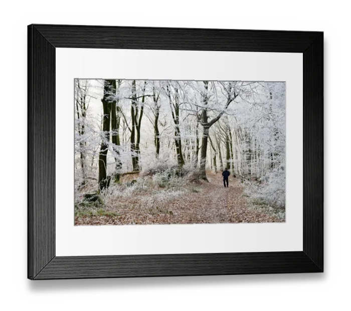 Framed Print : A walker walks along a forest trail lined with frosty trees in winter