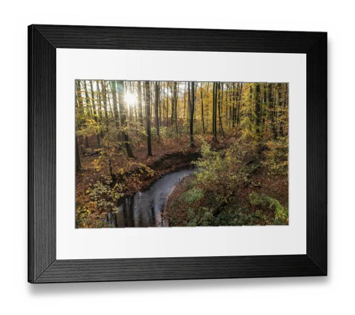 Framed Print : Melle, Lower Saxony, Germany, autumn forest with sun rays through the trees