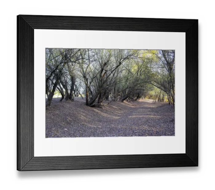 Framed Print : Autumn landscape in the forest